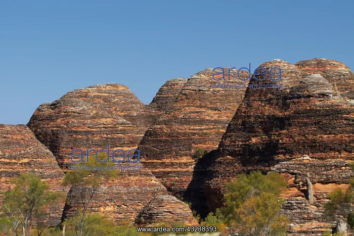 : Beehives, Bungle Bungles, Purnululu National : Beehives, Bungle Bungles, Purnululu National