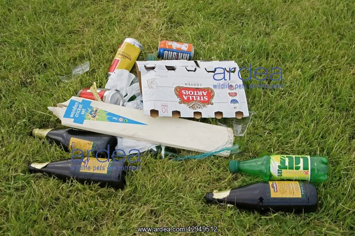 : Beer bottles & litter on grass : Beer bottles & litter on grass