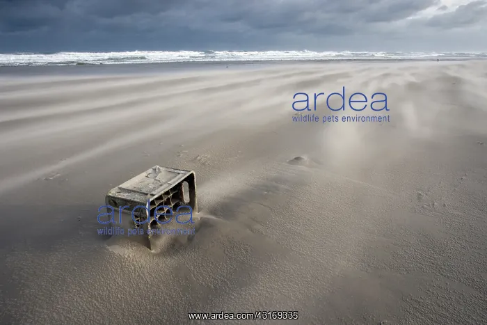 : Beer container on the beach, Terschelling : Beer container on the beach, Terschelling