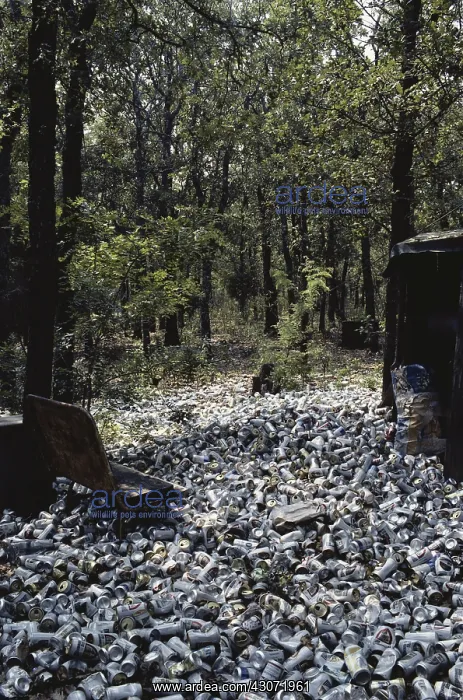 : Beer Can Dump : Beer Can Dump