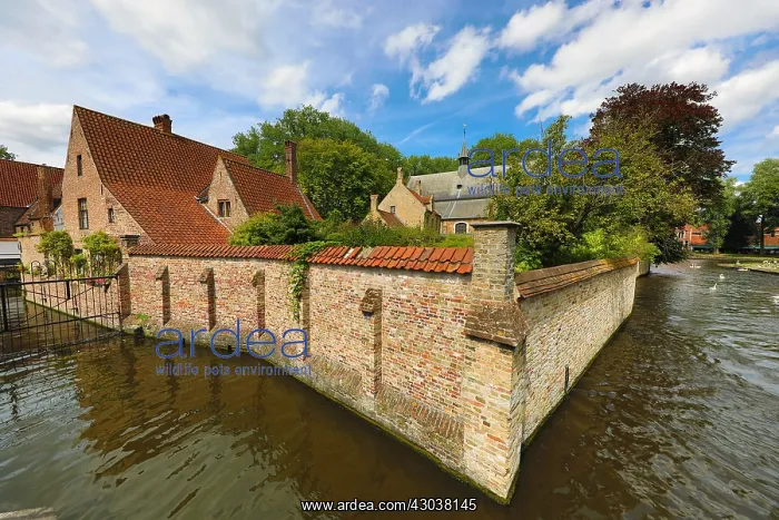 : The Begijnhof and canal, Bruges, Belgium : The Begijnhof and canal, Bruges, Belgium