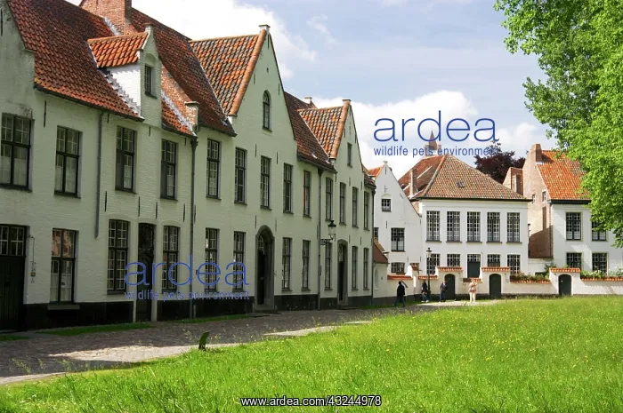: Beguinale House. Bruges, Belgium, Europe : Beguinale House. Bruges, Belgium, Europe