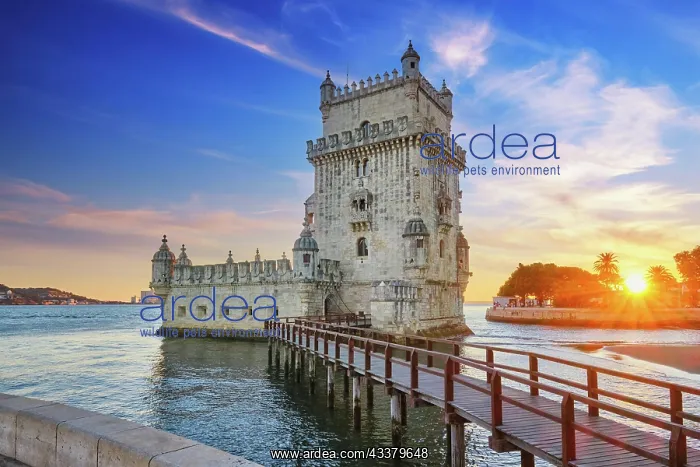 : Belem Tower or Tower of St Vincent, famous touri : Belem Tower or Tower of St Vincent, famous touri