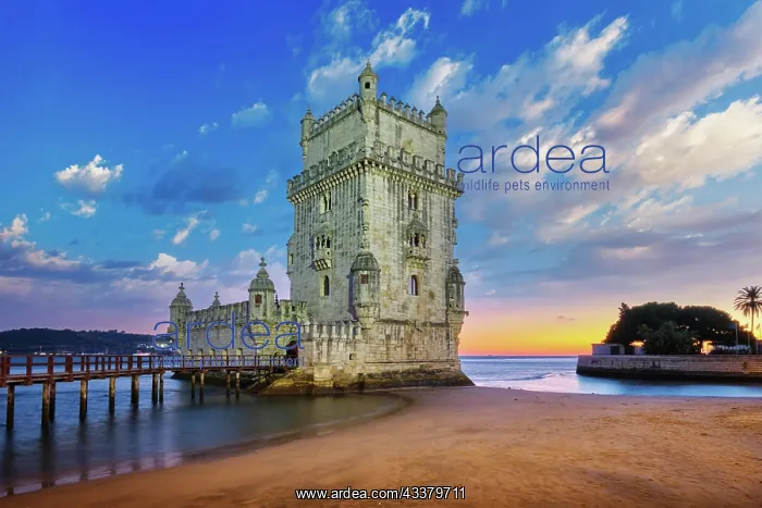  : Belem Tower or Tower of St Vincent, famous touri