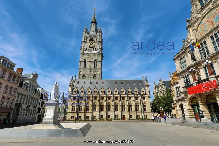 : The Belfort van Gent, the Belfry of Ghent medieval : The Belfort van Gent, the Belfry of Ghent medieval