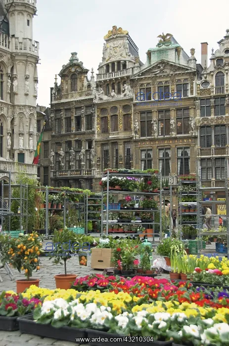  : Belgium, Brussels-Capital Region, Brussels
