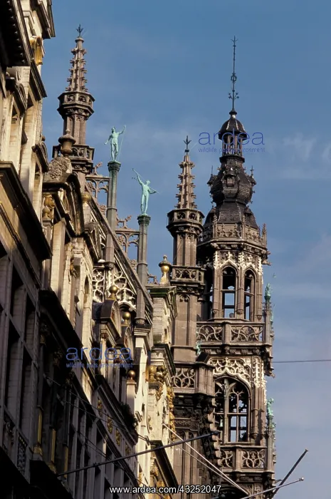  : Belgium, Brussels, Grand Place. Detail of