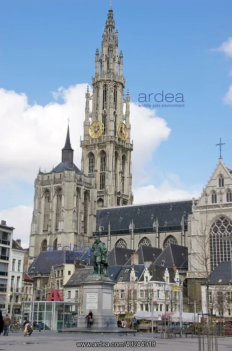 : Belgium, Flanders, Antwerp Province, Antwerp : Belgium, Flanders, Antwerp Province, Antwerp