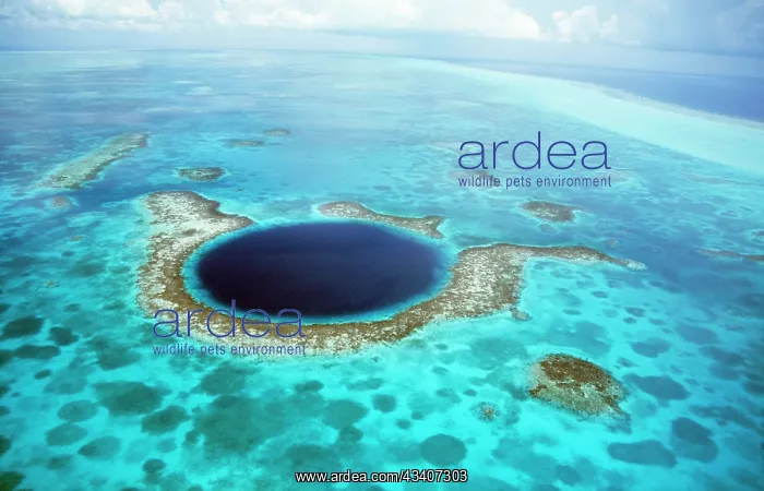 : Belize - aerial of Belize Blue Hole : Belize - aerial of Belize Blue Hole