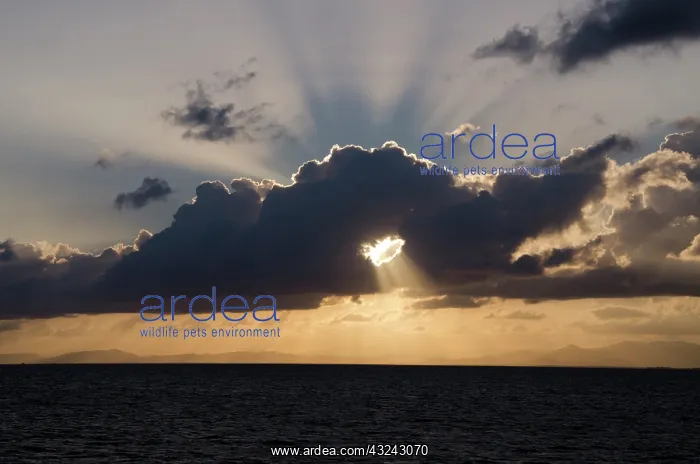 : Belize, Belize City. Sunset, with a hole : Belize, Belize City. Sunset, with a hole