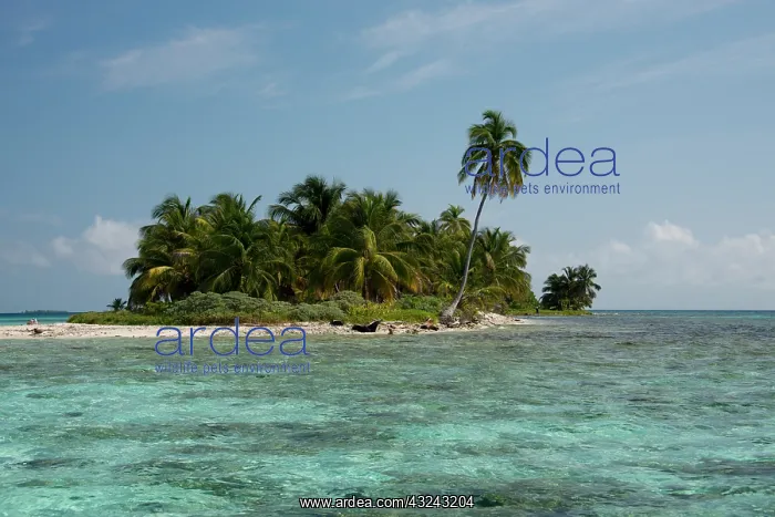 : Belize, Stann Creek District near Placencia : Belize, Stann Creek District near Placencia