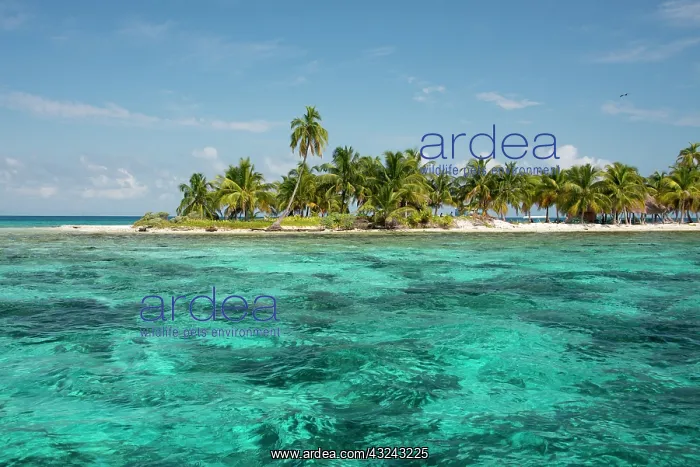 : Belize, Stann Creek District near Placencia : Belize, Stann Creek District near Placencia