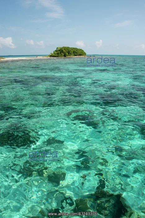 : Belize, Stann Creek District near Placencia : Belize, Stann Creek District near Placencia