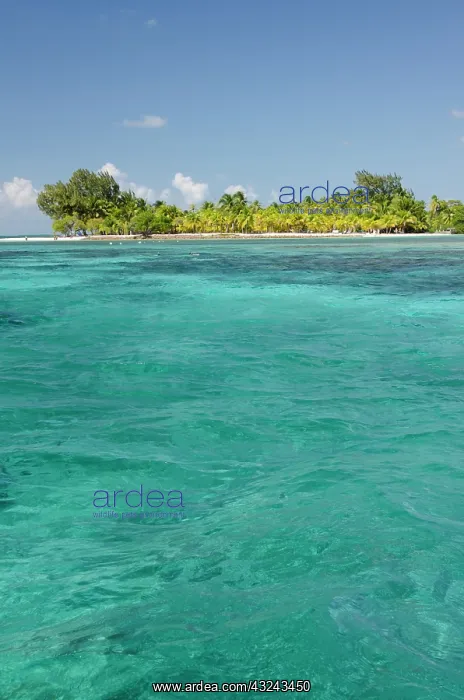 : Belize, Stann Creek District. South Water : Belize, Stann Creek District. South Water