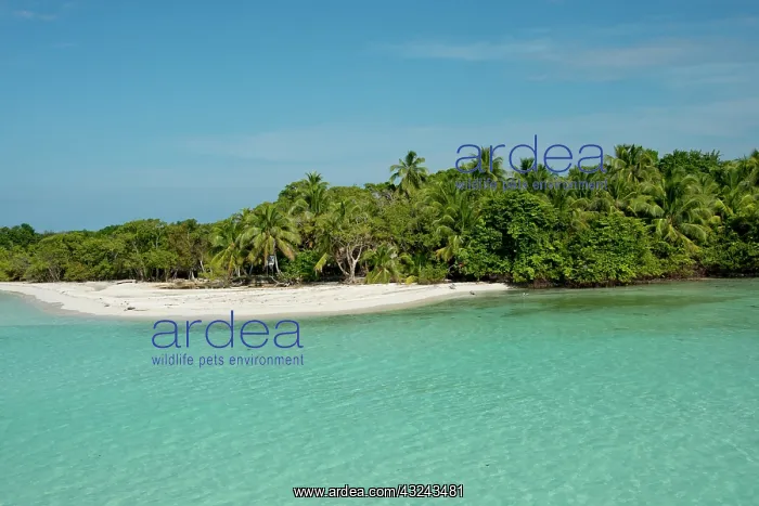 : Belize, Toledo, The Cayes. West Snake Caye : Belize, Toledo, The Cayes. West Snake Caye