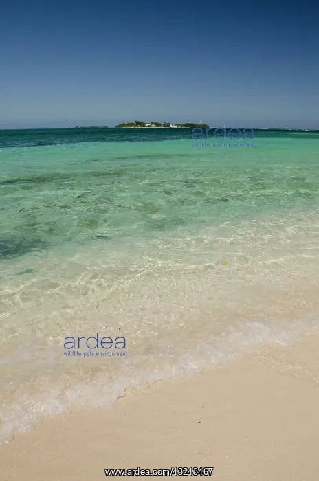 : Belize, Toledo, Sapodilla Cayes Marine Reserve : Belize, Toledo, Sapodilla Cayes Marine Reserve
