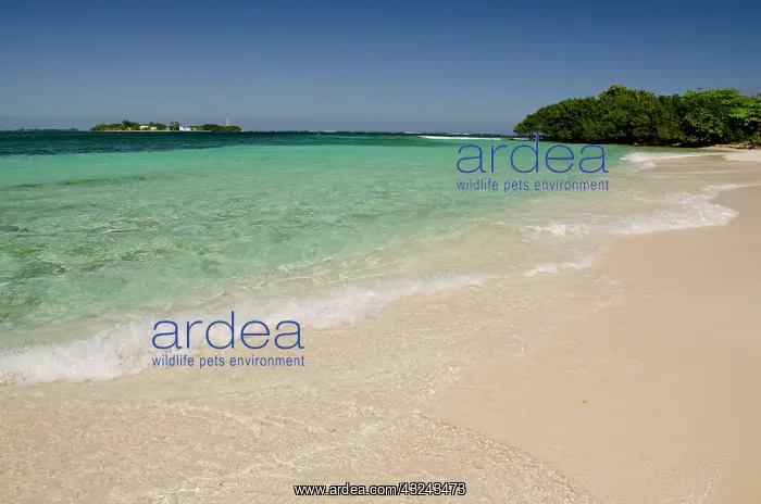 : Belize, Toledo, Sapodilla Cayes Marine Reserve : Belize, Toledo, Sapodilla Cayes Marine Reserve