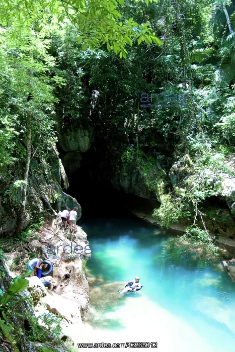  : Belize, tubing in Roaring Creek