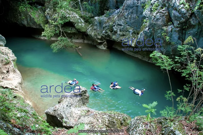 : Belize, tubing in Roaring Creek : Belize, tubing in Roaring Creek