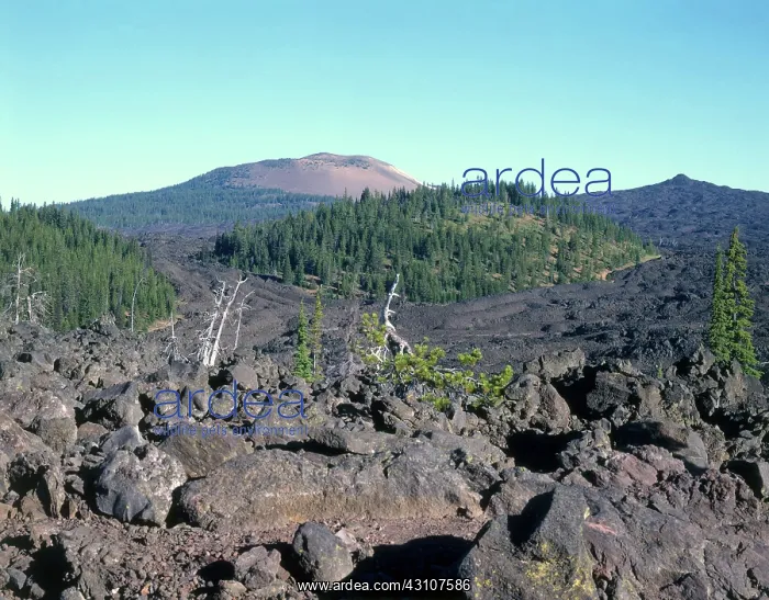 : Belknap Crater, Oregon : Belknap Crater, Oregon