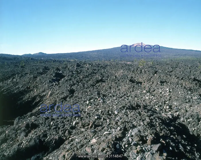 : Belknap Crater, Oregon : Belknap Crater, Oregon
