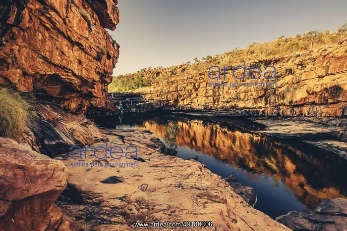 : Bell Gorge waterfall, a body of water in north-west Australia in the Kimberley : Bell Gorge waterfall, a body of water in north-west Australia in the Kimberley