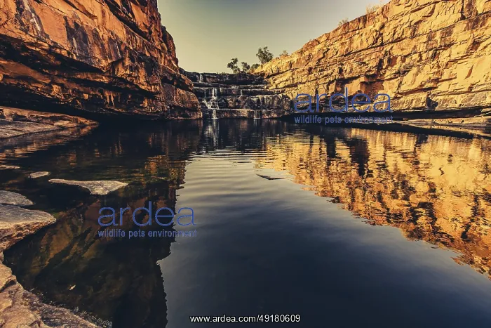  : Bell Gorge waterfall, a body of water in north-west Australia in the Kimberley
