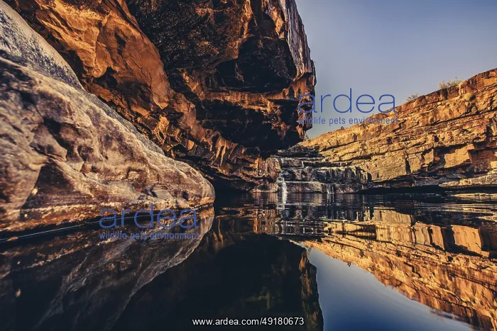 : Bell Gorge waterfall, a body of water in north-west Australia in the Kimberley : Bell Gorge waterfall, a body of water in north-west Australia in the Kimberley