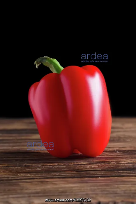 : Bell pepper on wooden board : Bell pepper on wooden board
