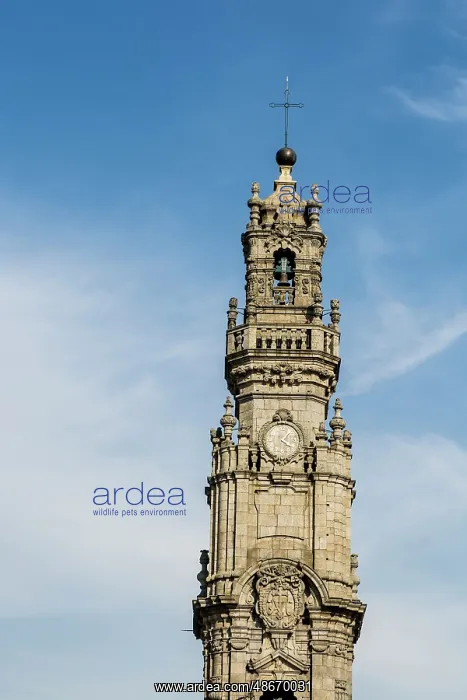 : Bell tower of the Church of the Clergymen (Igreja dos : Bell tower of the Church of the Clergymen (Igreja dos
