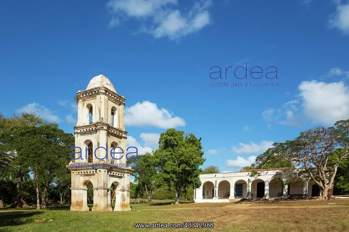 : The bell tower of Ingenio San Isidro de los Destiladeros : The bell tower of Ingenio San Isidro de los Destiladeros