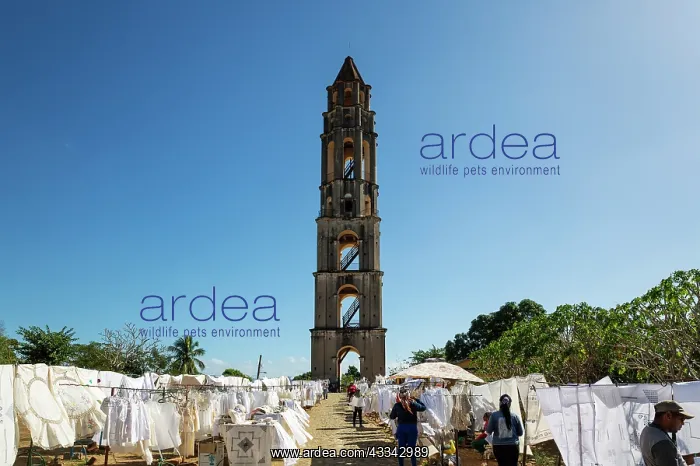 : The bell tower of the Manaca-Iznaga estate in the : The bell tower of the Manaca-Iznaga estate in the