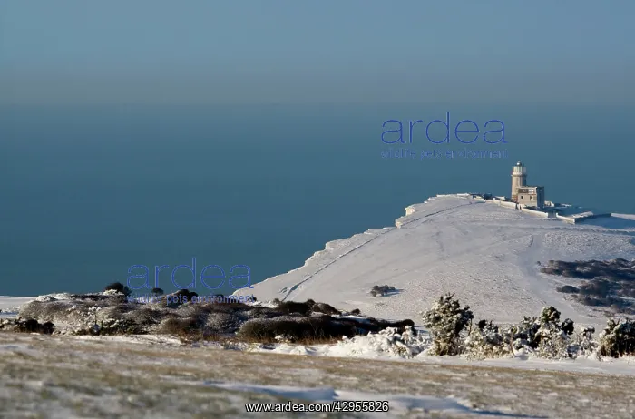 : Belle Tout in the snow : Belle Tout in the snow