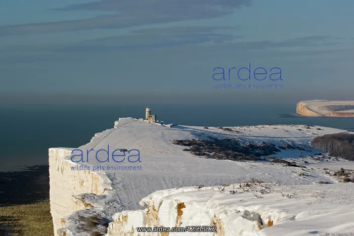  : Belle Tout in the snow