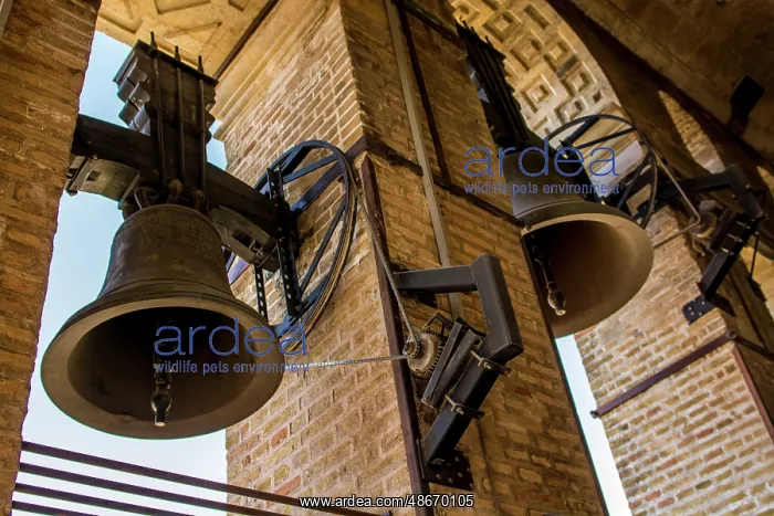 : Bells at the Catedral de Sevilla (Seville Cathedral), UNESCO : Bells at the Catedral de Sevilla (Seville Cathedral), UNESCO