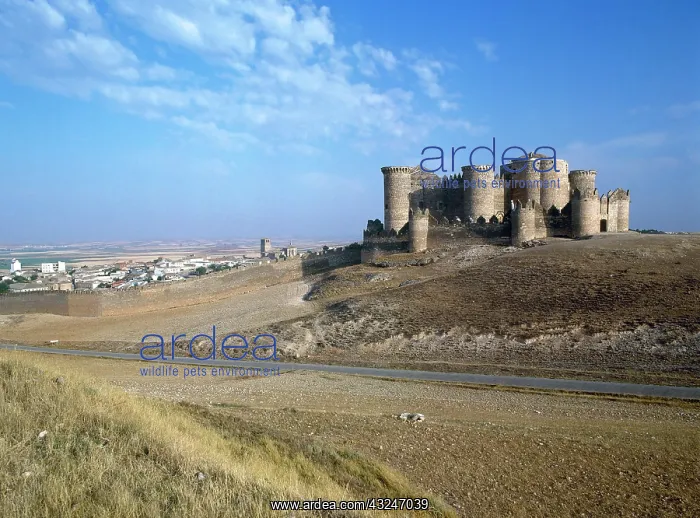 : BELMONTE. General view of the castle, built : BELMONTE. General view of the castle, built