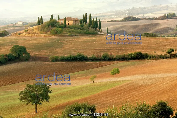 : Belvedere House at sunrise, San Quirico : Belvedere House at sunrise, San Quirico