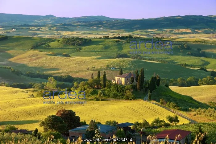 : The Belvedere and Tuscan countryside at : The Belvedere and Tuscan countryside at