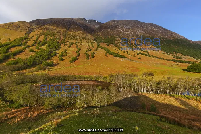 : Ben Nevis - massiv of Ben Nevis in lower Glen Nevis : Ben Nevis - massiv of Ben Nevis in lower Glen Nevis
