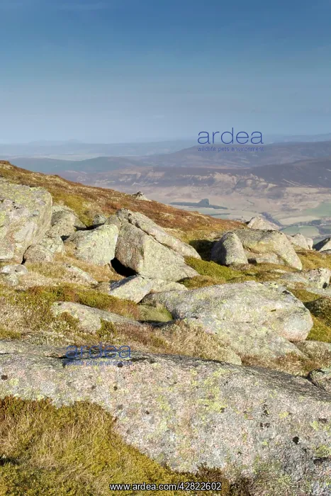  : Ben Rinnes
