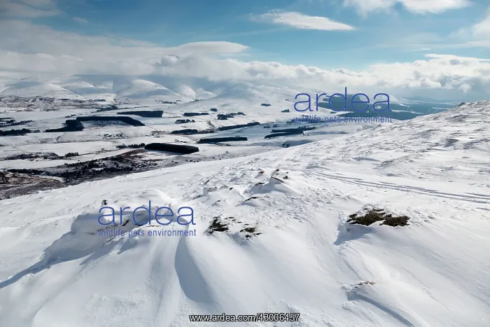 : Ben Rinnes : Ben Rinnes