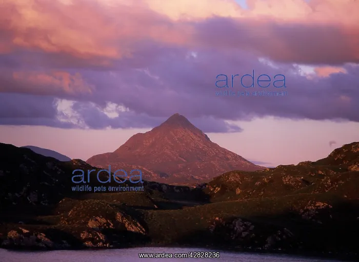 : Ben Stack - in Evening Light : Ben Stack - in Evening Light
