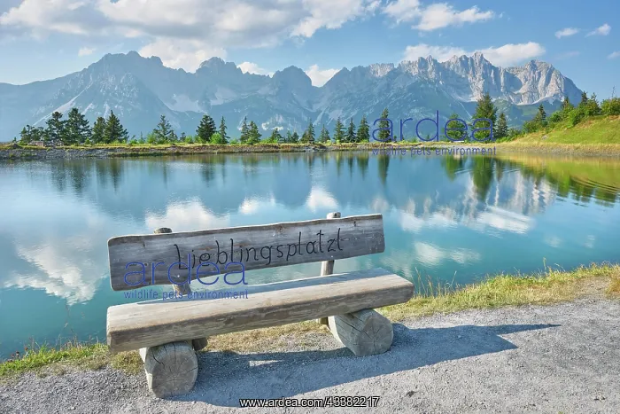 : Bench in front of Astbergsee with reflection of : Bench in front of Astbergsee with reflection of
