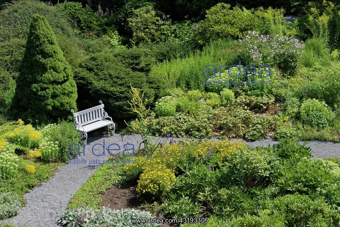 : Bench in the garden on Pet&, x159;&, xed;n : Bench in the garden on Pet&, x159;&, xed;n