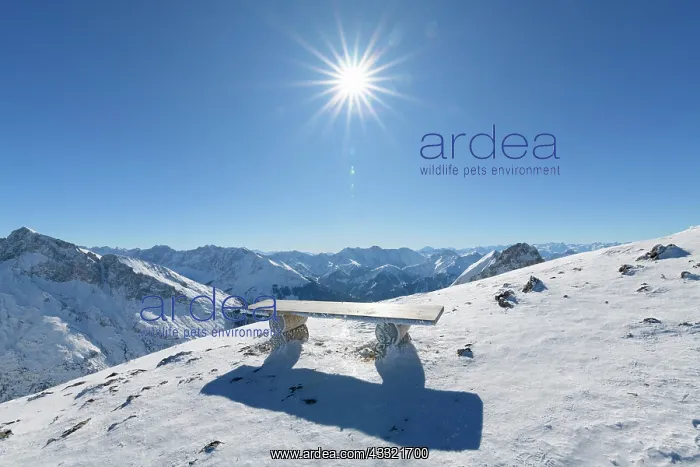 : Bench on Karwendel mountainrange with sun in winter : Bench on Karwendel mountainrange with sun in winter