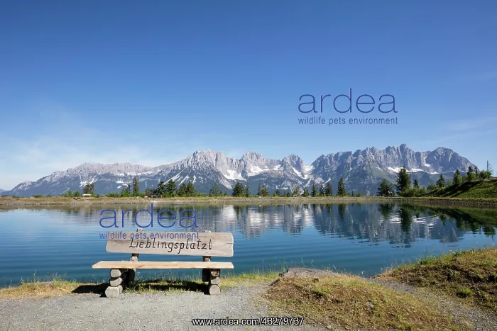 : Bench, mountain lake at the Astberg, Astbergsee : Bench, mountain lake at the Astberg, Astbergsee
