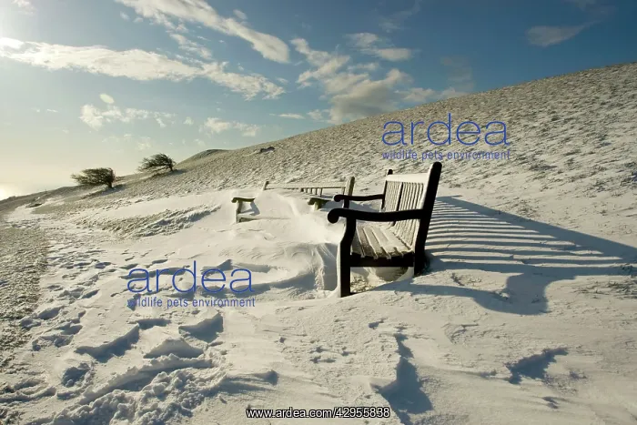 : Benches covered in snow : Benches covered in snow