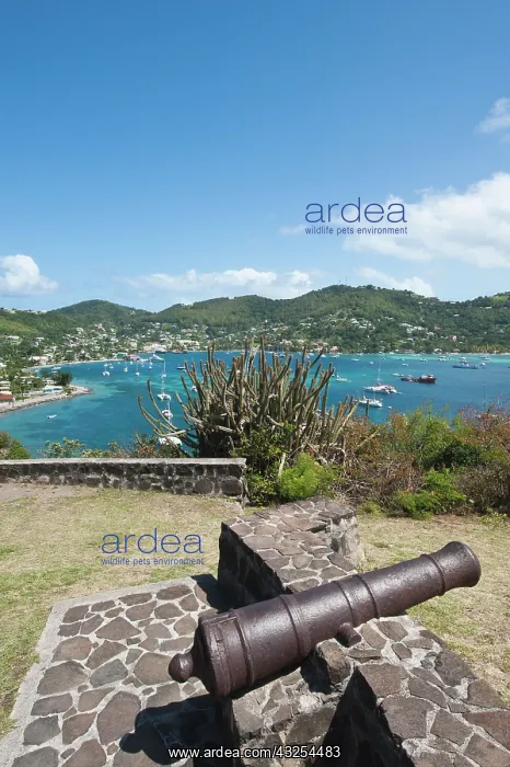 : Bequia, St. Vincent and the Grenadines : Bequia, St. Vincent and the Grenadines