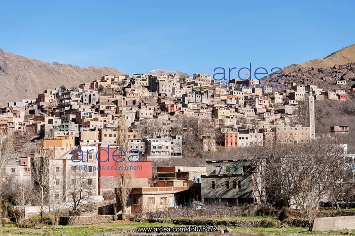  : Berber village in Atlas mountains, Aroumd, Morocco