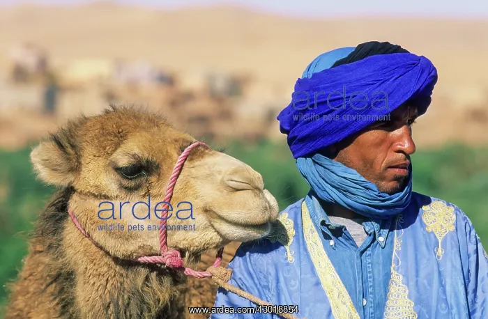 : The Berbers at a popular viewing point over the : The Berbers at a popular viewing point over the